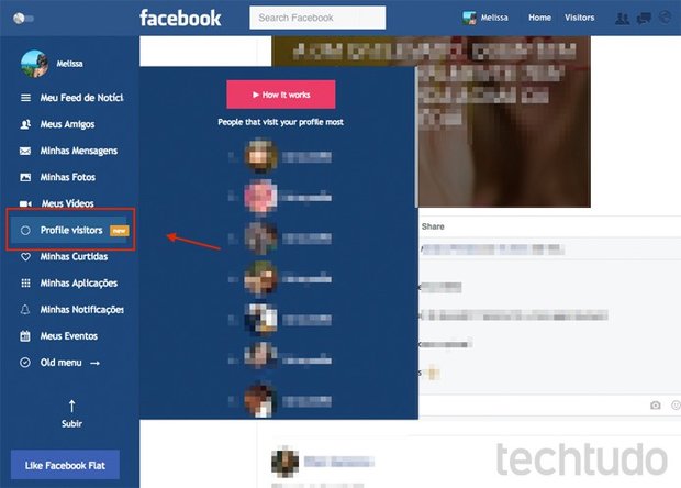 Plugin Facebook Flat promete revelar quem visitou o seu perfil no Facebook (Foto: Reprodução/TechTudo)
